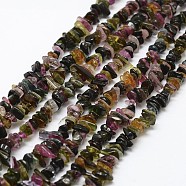 Natural Tourmaline Beads Strands, Chip, Mixed Color, 3~5x7~13x2~4mm, Hole: 0.4mm, 16 inch(X-G-F328-33)