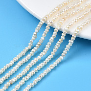 Natural Cultured Freshwater Pearl Beads Strand, Flat Round, Seashell Color, 3~4x2.5~3mm, Hole: 0.6mm, about 148~152pcs/strand, 14.09 inch~14.25 inch(35.8~36.2cm)(PEAR-N015-03B)