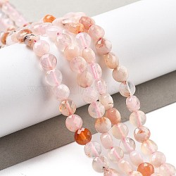 Natural Cherry Blossom Agate Beads Strands, Faceted, Flat Round, 5~5.5x3~3.5mm, Hole: 0.8~1mm, about 80~81pcs/strand, 15.16~15.24 inch(38.5~38.7cm)

(G-C179-A27-01)