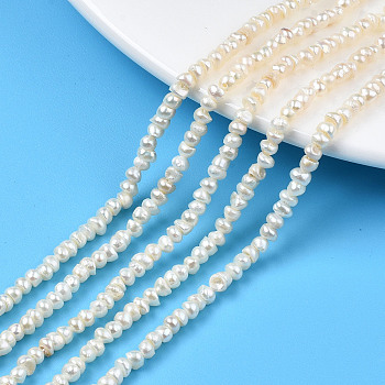Natural Cultured Freshwater Pearl Beads Strand, Flat Round, Seashell Color, 3~4x2.5~3mm, Hole: 0.6mm, about 148~152pcs/strand, 14.09 inch~14.25 inch(35.8~36.2cm)