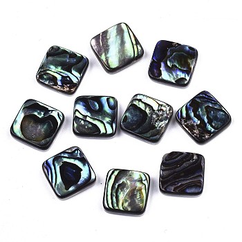 Natural Abalone Shell/Paua Shell Cabochons, with Freshwater Shell, Square, Colorful, 10x10x3mm