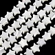 Natural Trochid Shell/Trochus Shell Beads Strands(SH-CBA2978-17A)-1