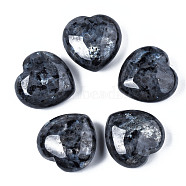 Natural Labradorite Heart Love Stone, Pocket Palm Stone for Reiki Balancing, 29.5~30x30x14~15mm(G-N0325-11-04)