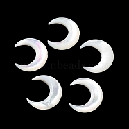 Natural White Shell Beads, Crescent Moon, Floral White, 11x12x3mm, Hole: 0.7mm(SHEL-M020-04C)