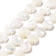 Natural Trochid Shell Beads Strands, Fish, White, 13x13x3.5mm, Hole: 0.5mm, about 31pcs/strand, 15.83 inch(40.2cm)(SSHEL-G023-16B)