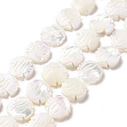 Natural Trochid Shell Beads Strands, Fish, White, 13x13x3.5mm, Hole: 0.5mm, about 31pcs/strand, 15.83 inch(40.2cm)(SSHEL-G023-16B)