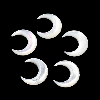 Natural White Shell Beads, Crescent Moon, Floral White, 11x12x3mm, Hole: 0.7mm