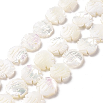 Natural Trochid Shell Beads Strands, Fish, White, 13x13x3.5mm, Hole: 0.5mm, about 31pcs/strand, 15.83 inch(40.2cm)