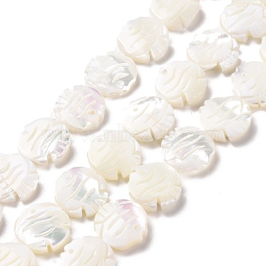 White Fish Trochus Shell Beads
