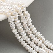 Natural Keshi Pearl Cultured Freshwater Pearl Beads Strands, Baroque Pearls, Nuggets, Grade 3A, Floral White, 3~4mm, Hole: 0.6mm, about 58pcs/strand, 7.09 inch(17.5~18cm)(PEAR-C003-31C)