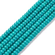 Natural Magnesite Beads Strands, Dyed, Rondelle, 10x5mm, Hole: 1mm, about 68pcs/strand, 15.7 inch(40cm)(TURQ-G148-27-10mm)