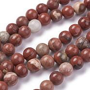 Natural Red Jasper Beads Strands, Round, Grade AB, Red, 8mm, Hole: 1mm,  about 48pcs/strand, 15.1 inch(G-F348-02-8mm)