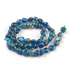 Natural Apatite Beads Strands, Tumbled Stone, Nuggets, 6~10x5~9mm, Hole: 0.8mm, about 49pcs/strand, 15.7 inch(40cm)(X-G-F575-07)