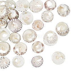 Natural Spiral Shell Beads, Lemon Chiffon, 20~25x5~8mm, Hole: 0.5~1mm, about 30pcs/box(SSHEL-NB0001-15)