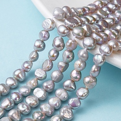 Natural Cultured Freshwater Pearl Beads Strands, Dyed, Two Sides Polished, Light Grey, 7~9x5~6mm, Hole: 0.8mm, about 45~50pcs/strand, 13.7 inch(X-PEAR-R064-24)
