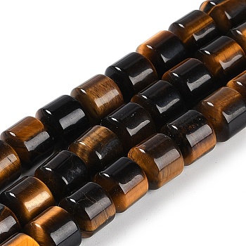 Natural Tiger Eye Beads Strands, Column, 10x10mm, Hole: 1.4mm, about 40pcs/strand, 15.47 inch(39.3cm)