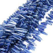 Natural Kyanite Beads Strands, Nuggets, 9.5~30x4.5~7.5x1.5~5mm, Hole: 0.8mm, about 80pcs/strand, 15.75 inch(40cm)(G-E569-O02)