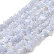 Natural Blue Lace Agate Chip Beads Strands, 5~8x5~8mm, Hole: 1mm; about 16 inch.(G-E271-73-01)