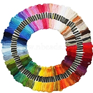 100 Skeins 100 Colors Polyester Embroidery Threads for Cross Stitch, 6-Ply Embroidery Floss, DIY Friendship Bracelets String, Mixed Color, 0.8mm, 8m/skein(SENE-PW0002-046)