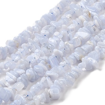 Natural Blue Lace Agate Chip Beads Strands, 5~8x5~8mm, Hole: 1mm; about 16 inch.