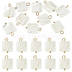 10Pcs Natural Shell Square Pendants, with 304 Stainless Steel Loops, Seashell Color, Ion Plating(IP), Golden, 18~18.5x12.5x3.5mm, Hole: 1.8~2mm(STAS-TA0006-27)