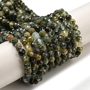 Natural Prehnite Beads Strands, Faceted, Round, 3mm, Hole: 0.7mm, about 111pcs/strand, 15.04''(38.2cm)(G-A097-A06-03)