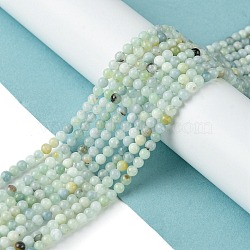Natural Flower Amazonite Beads Strands, Round, Grade A, 3mm, Hole: 0.5mm, about 136pcs/strand, 15.87''(40.3cm)(G-M438-A08-01)