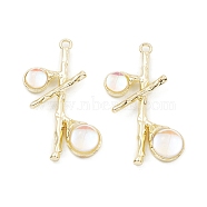 Resin Pendants, Tree Charms with Rack Plating Light Gold Plated Alloy Findings, Long-Lasting Plated, Lead Free & Cadmium Free, Clear, 37x23x6.5mm, Hole: 2mm(PALLOY-K003-22LG-02)