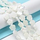 Natural Trochus Shell Beads Strands(X-BSHE-P033-07)-3