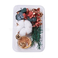 Dried Flowers, DIY Candle Soap Making Accessories, with Plastic Rectangle Box, Mixed Color, 1.65~15.5x1.8~5.8cm(DIY-D052-06)