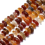 Natural Red Agate Beads Strands, with Seed Beads, Flat, Dyed & Heated, 7~13x8~9x3~4mm, Hole: 1mm, about 68pcs/strand, 14.76''(37.5cm)(G-K245-H01-01)