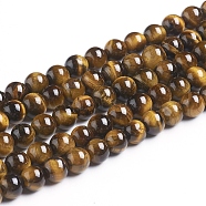 Natural Tiger Eye Beads Strands, Round, Grade AB+, 6mm, Hole: 1mm, about 60pcs/strand(Z0RQX011)