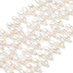 Natural Cultured Freshwater Pearl Beads Strands, Grade 5A, Rice, Old Lace, 8~9x6~7mm, Hole: 0.1mm, about 83~84pcs/strand, 16.26 inch(41.3cm)(PEAR-J007-65)
