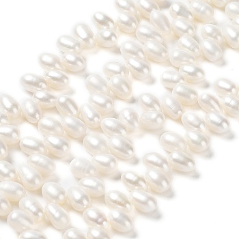 Natural Cultured Freshwater Pearl Beads Strands, Grade 5A, Rice, Old Lace, 8~9x6~7mm, Hole: 0.1mm, about 83~84pcs/strand, 16.26 inch(41.3cm)