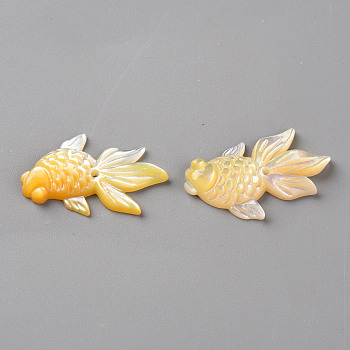 Natural Yellow Shell Beads, 
Goldfish, Gold, 14x23.5x2.5mm, Hole: 1mm