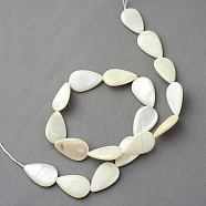 Natural Sea Shell Beads Strands, teardrop, Creamy White, 21~22x13~14x3~4mm, Hole: 1.5mm, about 18pcs/strand, 15.3(X-SSHEL-Q296-43)