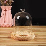 Diamond Shaped Top Clear Glass Dome Cover, Decorative Display Case, Cloche Bell Jar Terrarium with Wood Base, BurlyWood, 90x130mm(BOTT-PW0003-001A-A04)