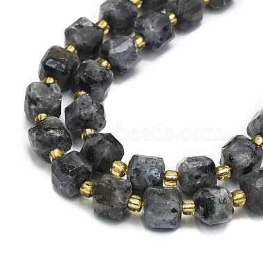 Natural Larvikite Beads Strand(G-I376-D67-01)-3