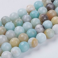 Natural Flower Amazonite Beads, Faceted, Round, Colorful, 8mm, Hole: 1mm, about 50pcs/strand, 15.7 inch(X-G-H1430-1)
