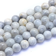 Natural Grey Moonstone Beads Strands, Round, 10mm, Hole: 0.8mm, about 39pcs/strand, 15.35 inch(39cm)(G-I279-C01-10mm)