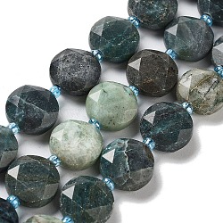 Natural Chrysocolla Beads Strands, with Seed Beads, Faceted Hexagonal Cut, Flat Round, Dyed, 12~12.5x5~6mm, Hole: 1.2~1.4mm, about 27~29pcs/strand, 15.55~15.75 inck(39.5~40cm)(G-NH0004-034)