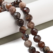 Natural Petrified Wood Beads Strands, Faceted Football Hexagonal Cut, Round, 8mm, Hole: 1.1mm, about 49pcs/strand, 15.04 inch(38.2cm)(G-C150-B01-01)