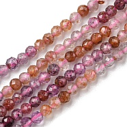 Natural Ruby & Sapphire Beads Strands, Faceted Round, 2mm, Hole: 0.4mm, about 197pcs/strand, 15.35 inch(39cm)(G-G0005-C05)