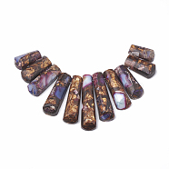 Assembled Synthetic Imperial Jasper and Bronzite Beads Strands, Graduated Fan Pendants, Focal Beads, Dyed, Indigo, 15~39.5x9~10x5~5mm, Hole: 1.2mm, 11pcs/set, 3.93 inch/strand(G-S326-002A)