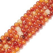 Natural Carnelian Beads Strands, Round, 8mm, Hole: 0.7mm, about 48pcs/strand, 14.96 inch(38cm)(G-F718-07)