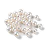 Natural Cultured Freshwater Pearl Beads, Half Drilled, Grade 5A+, Round, WhiteSmoke, 3~3.5mm, Hole: 0.8mm(PEAR-E020-01B)