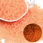 6/0 Luminous Glass Seed Beads, Round Hole, Frosted Inside Colours, Glow in the Dark, Rondelle, Sandy Brown, 4.5x3.5mm, Hole: 1.5mm, about 4500pcs/pound(SEED-NH0001-01D)