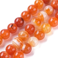 Natural Striped Agate/Banded Agate Beads Strands, Dyed & Heated, Round, Coral, 10mm, Hole: 1.2mm, about 37pcs/strand, 14.65 inch(37.2cm)(G-G582-10mm-62)