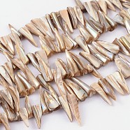 Natural Shell Beads Strands, Erose, White, about 4~9mm wide, 13~35mm long, hole: about 0.5mm, 14 inch(YPBB030)