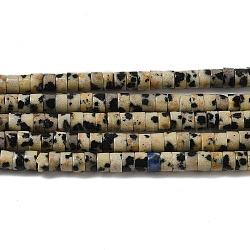 Natural Dalmatian Jasper Beads Strands, Disc, Heishi Beads, 3x2~2.5mm, Hole: 0.9mm, about 180~182pcs/strand, 15.04~15.16''(38.2~38.5cm)(G-E612-A01-A)